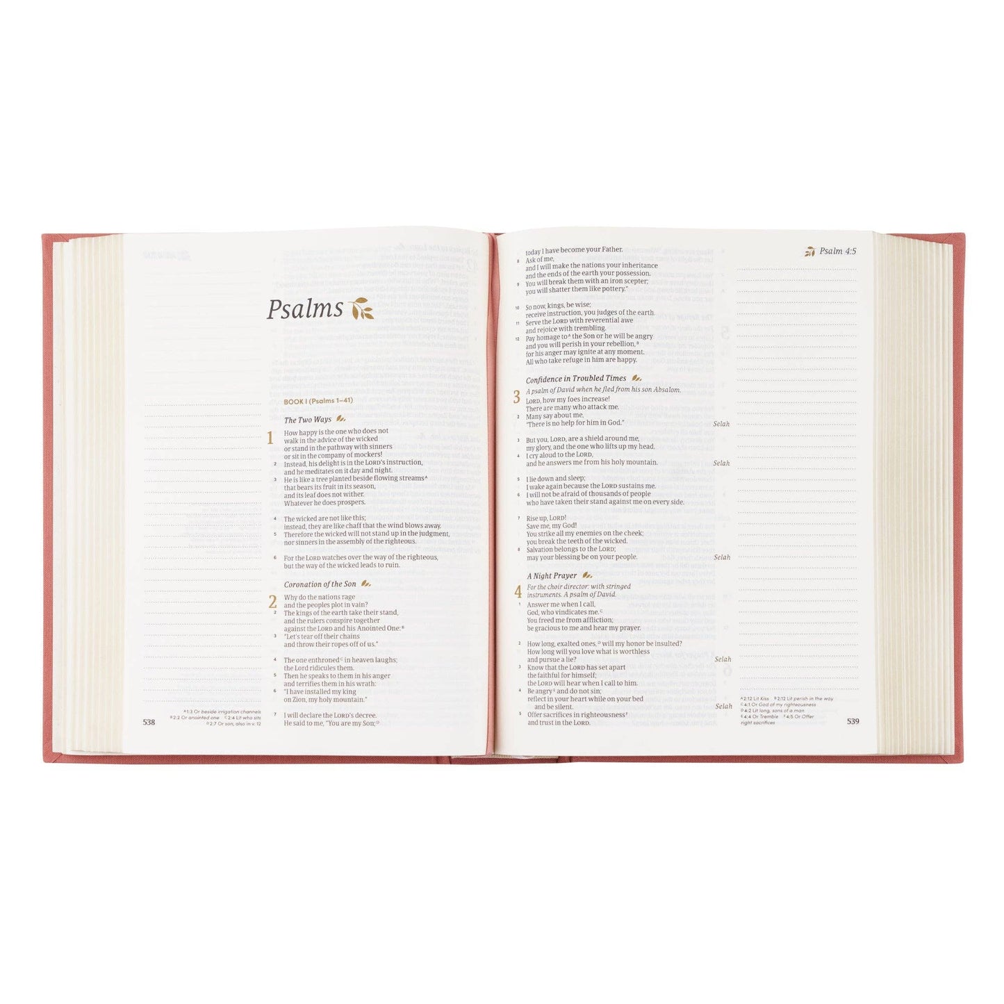 CSB Rosedal Notetaking Bible
