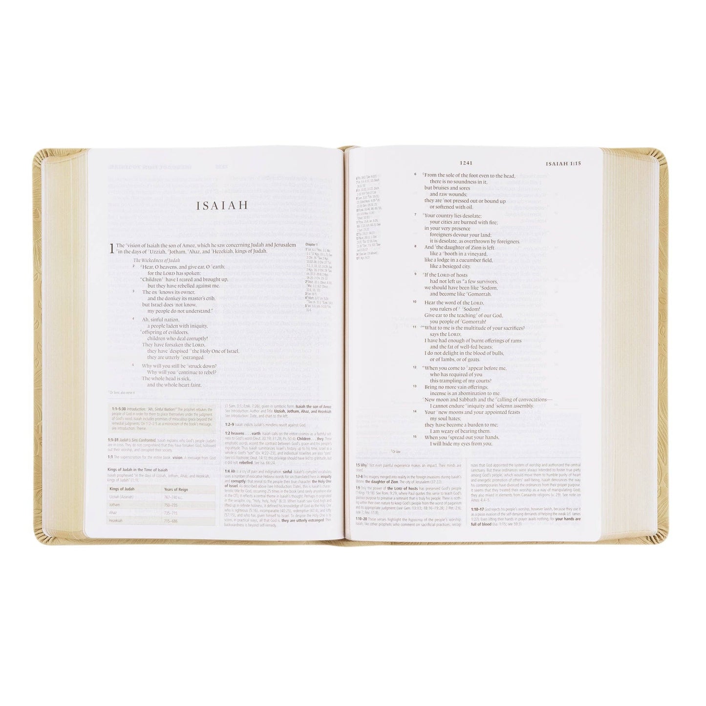 ESV Sonora Theme Study Bible