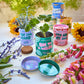 Complimentary Color Grow Kits