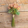 Maroon Mini Thistle Bundle