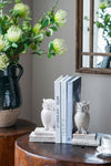 Brown Polyresin Owl Bookends (Set of 2)