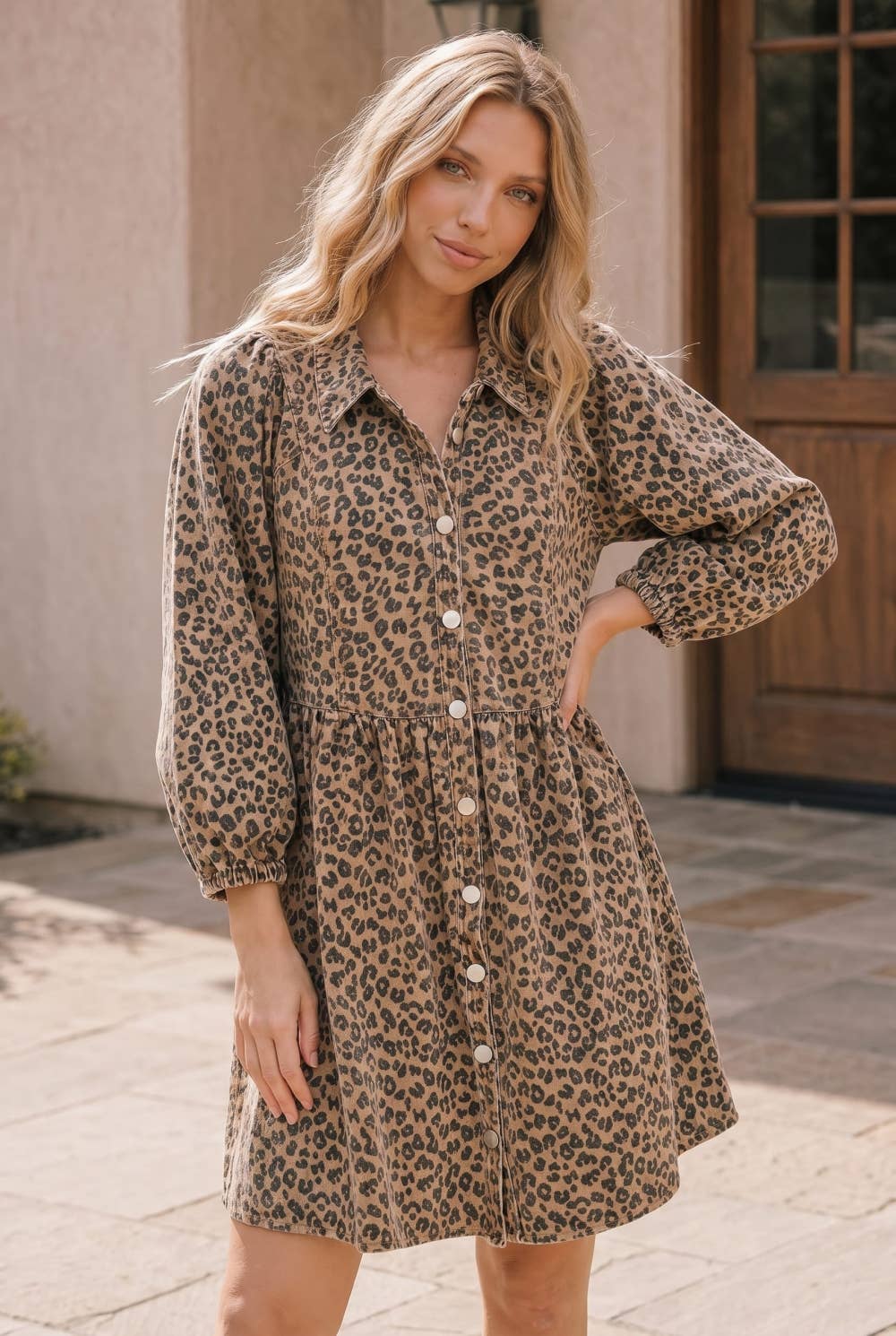 Taupe Leopard Button Front Mini Dress