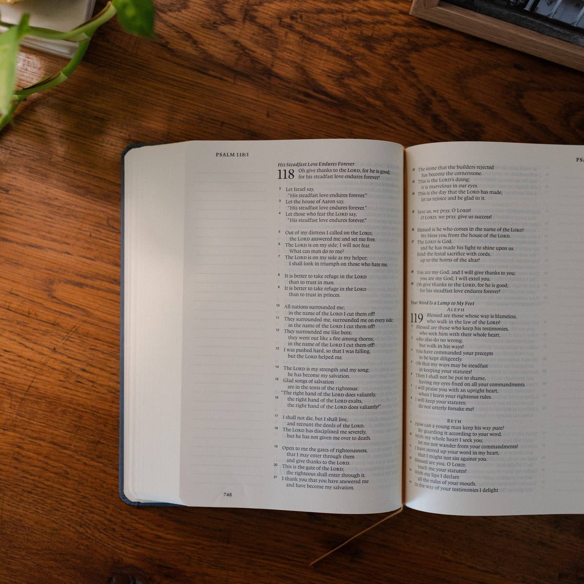 Lantana ESV Large Print Single Column Journaling Bible