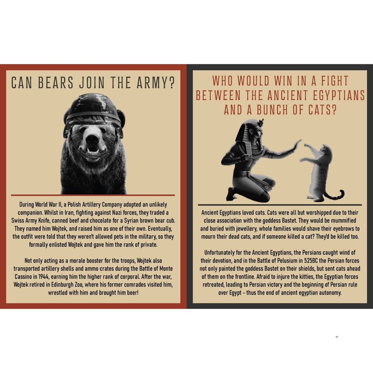 Curious Man Thoughts Book