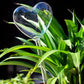 Heart-Shaped Plant Watering Stake