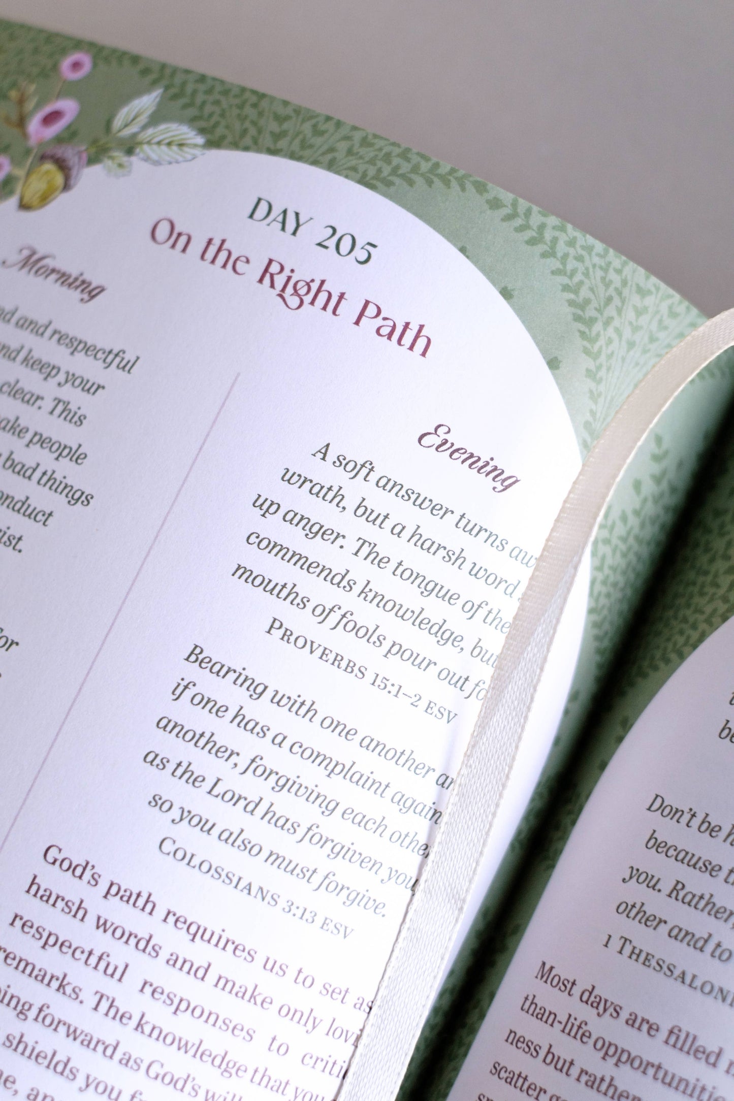 The Bible Promise Book for Morning and Evening