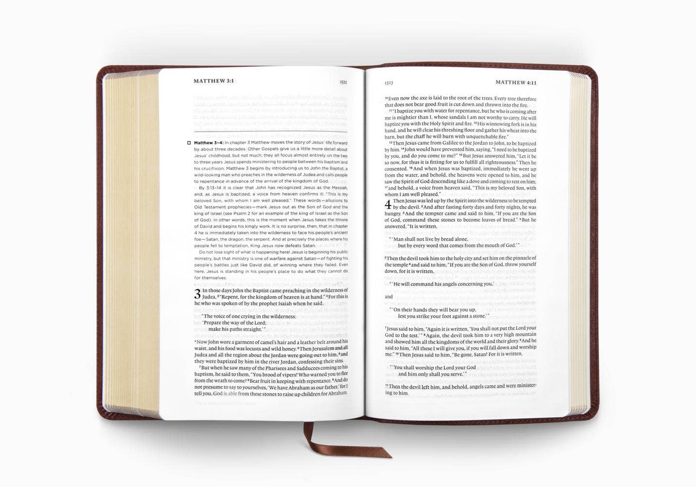 ESV Daily Reading Bible: A Guided Journey through God's Word