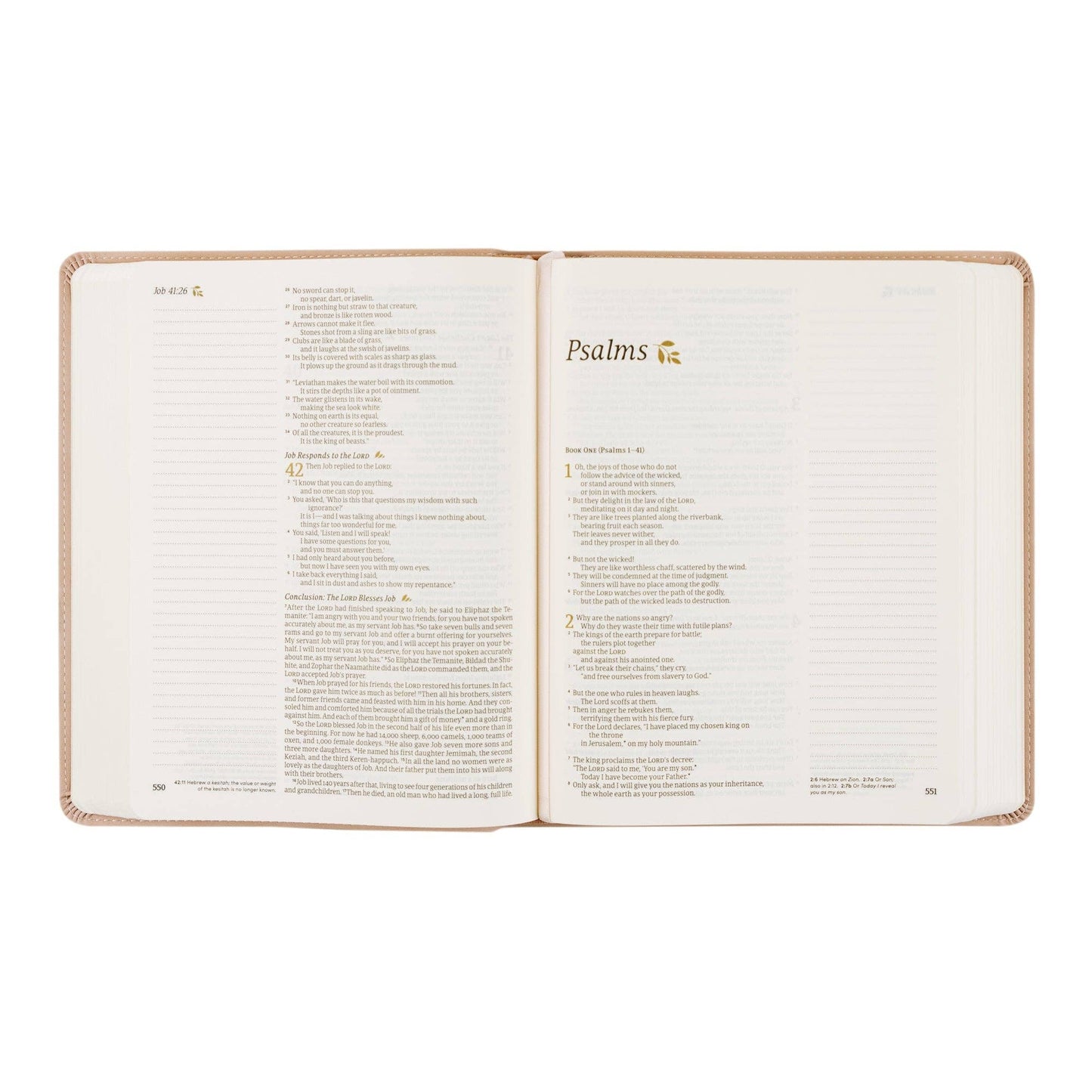 NLT Shiloh Notetaking Bible