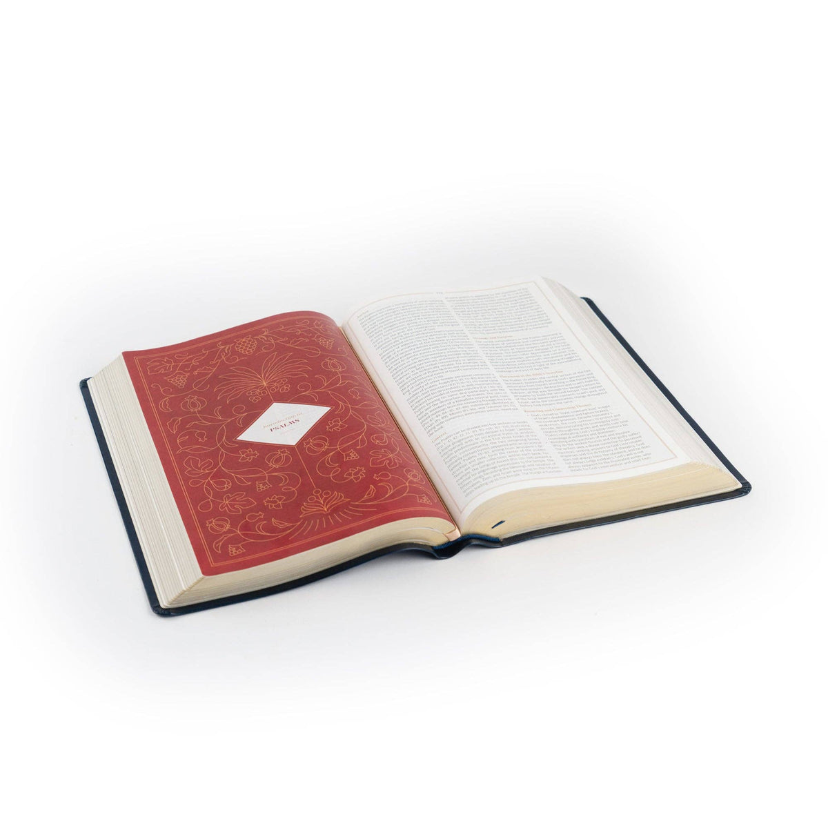 Versailles CSB Women's Study Bible