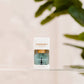 Foundation Hydrating Base Coat