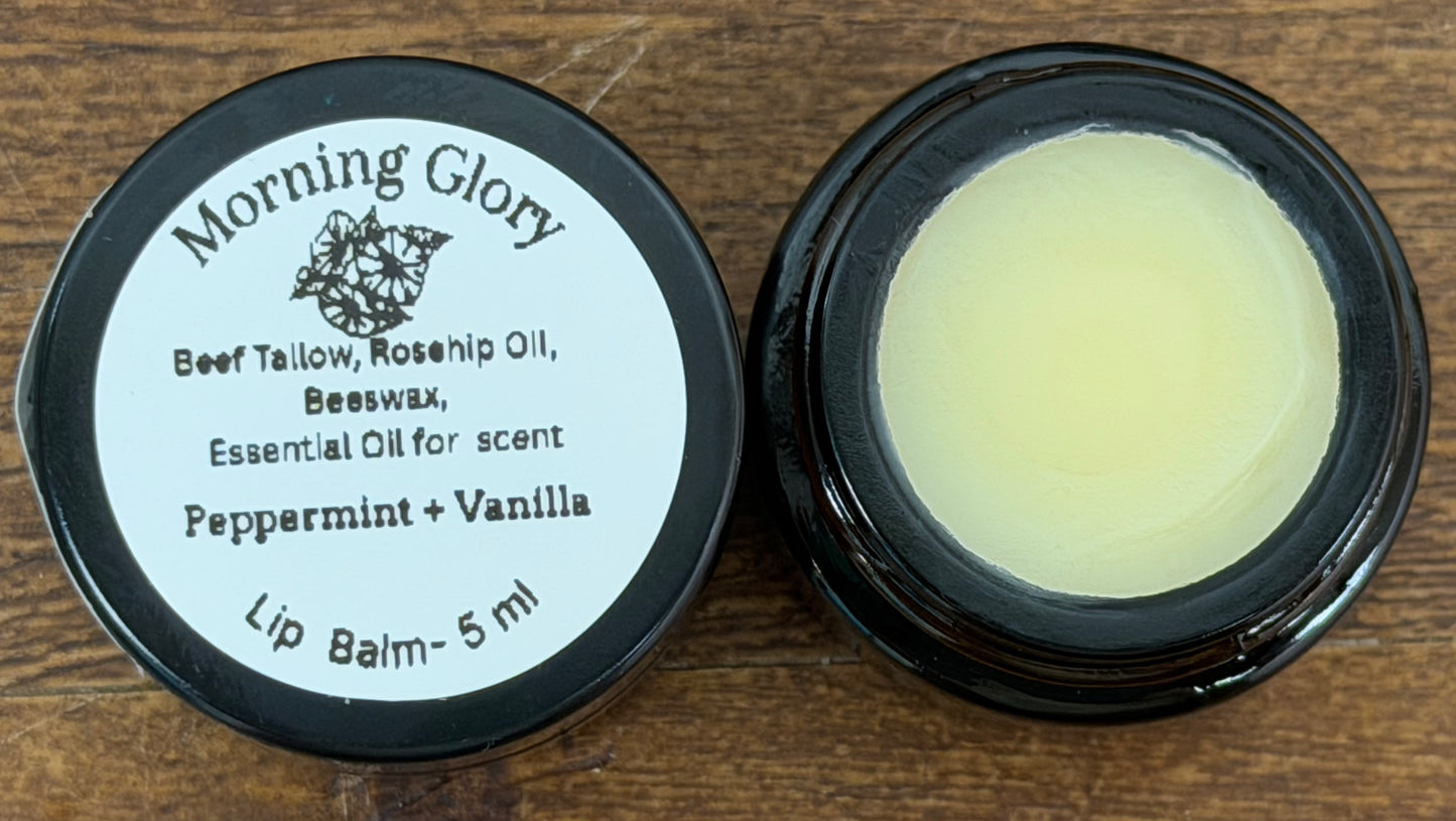 Morning Glory Lip Balm