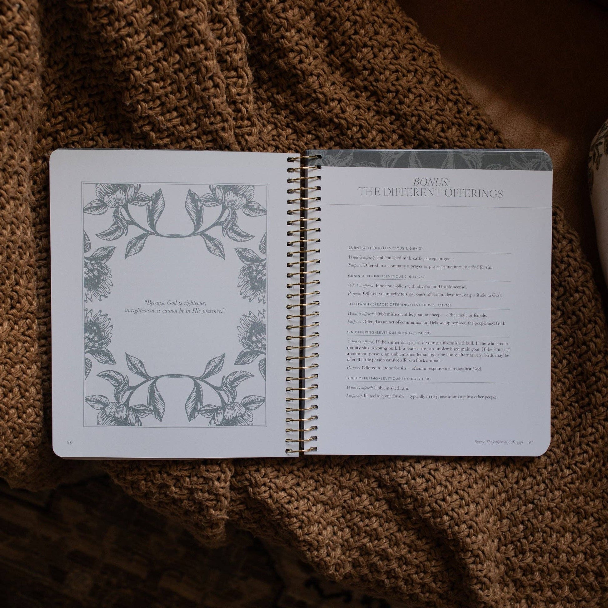 A Year in the Bible | 365 Days of Discovering the Beauty of Jesus from Genesis to Revelation | Volume 1 - Purpose + Passion Boutique