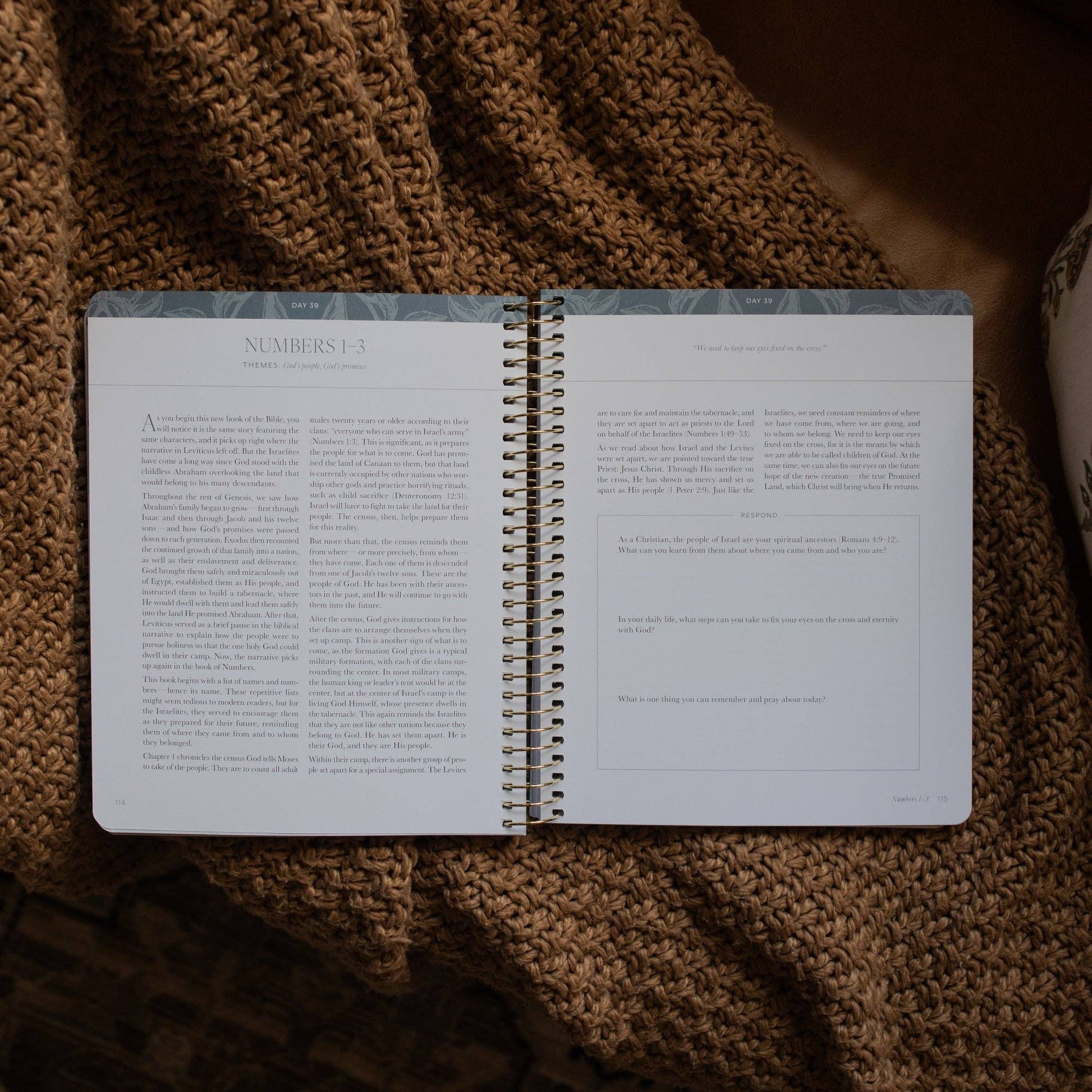 A Year in the Bible | 365 Days of Discovering the Beauty of Jesus from Genesis to Revelation | Volume 1 - Purpose + Passion Boutique