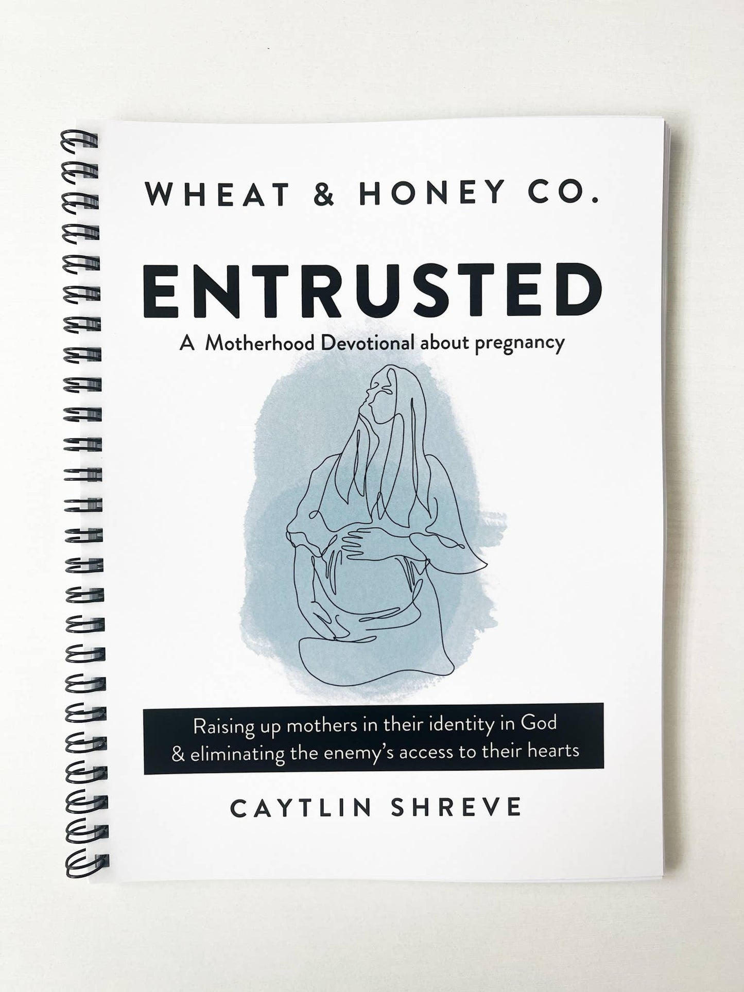 Entrusted: A Motherhood Devotional about Pregnancy
