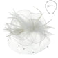 Floral Mesh & Dotted Veil w/ Feathers Fascinator Headband/Clip
