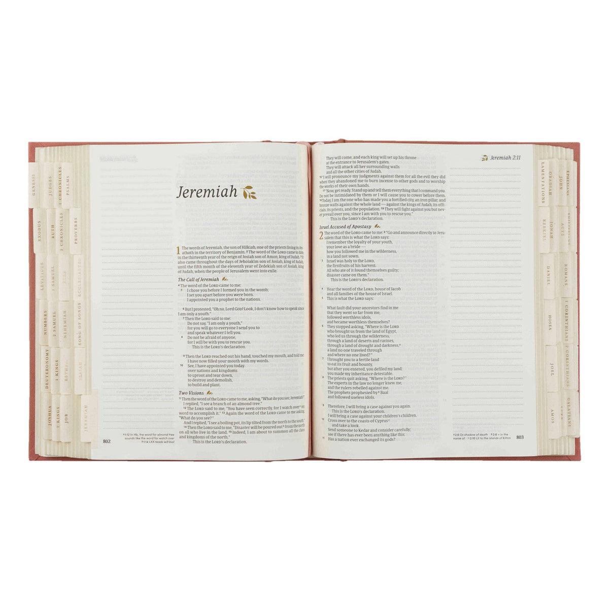 Bible Tabs: Gold Foiling