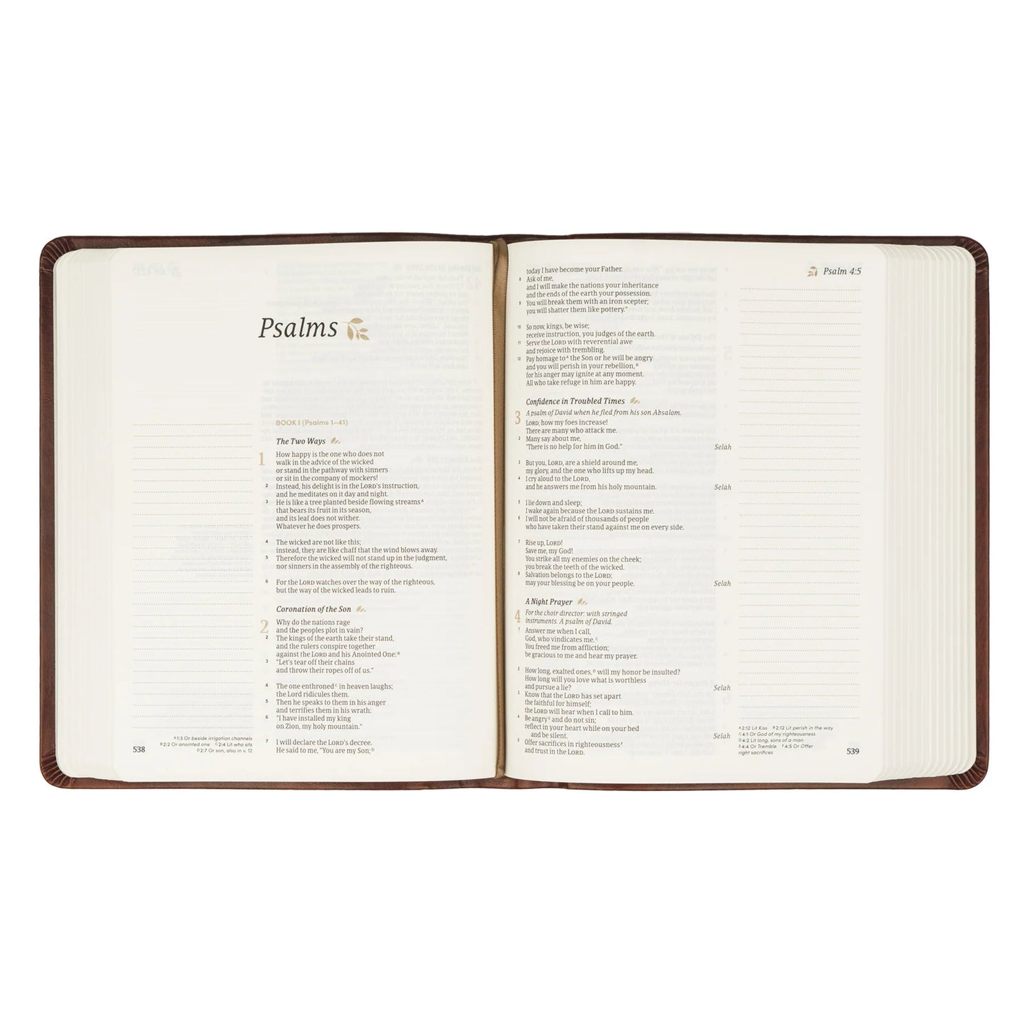 Anchorage CSB Notetaking Bible - Purpose + Passion Boutique