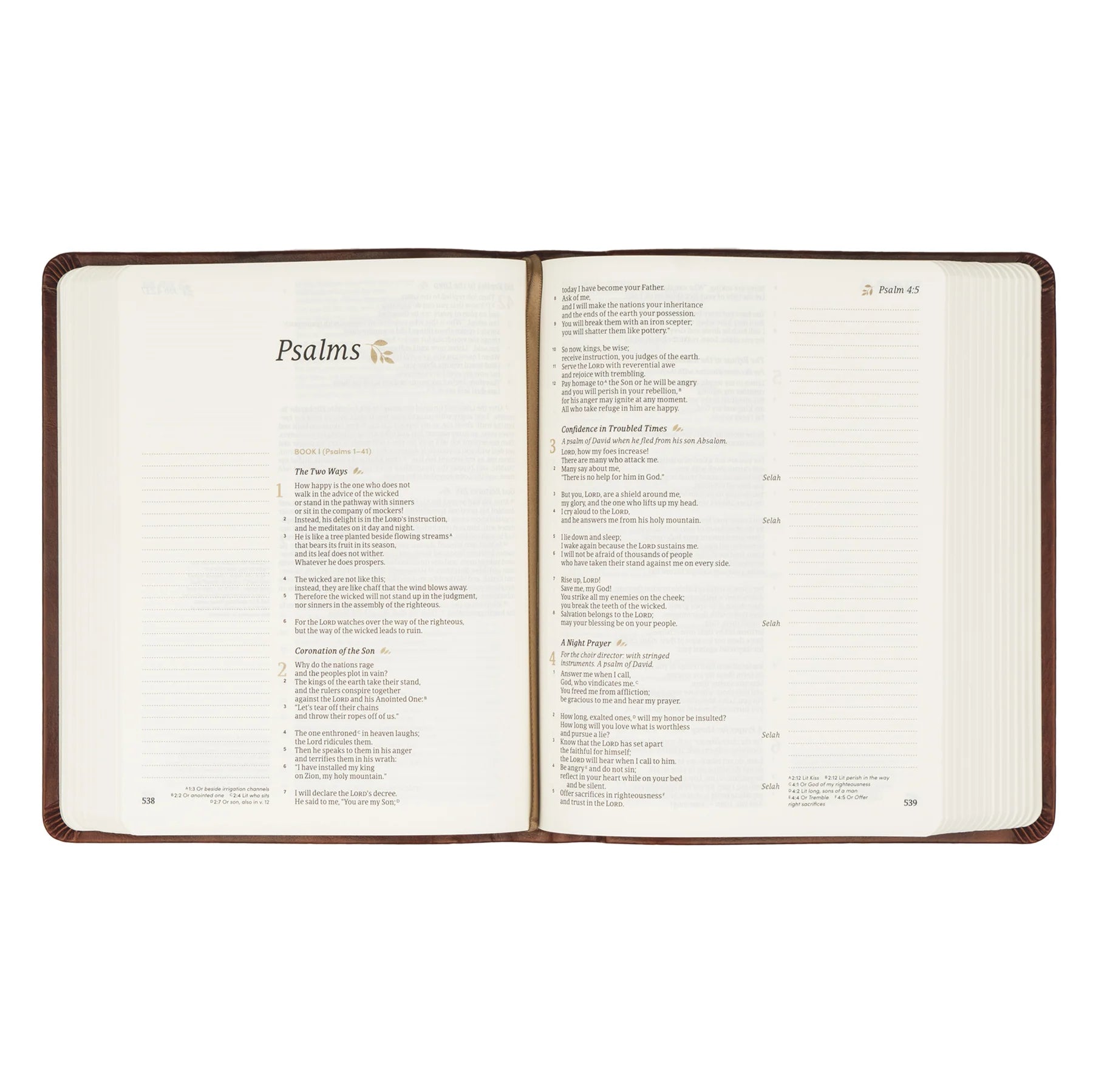 Anchorage CSB Notetaking Bible - Purpose + Passion Boutique