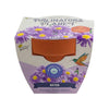 Aster Pollinator Classic Terracotta - Purpose + Passion Boutique