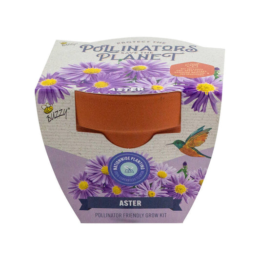 Aster Pollinator Classic Terracotta - Purpose + Passion Boutique