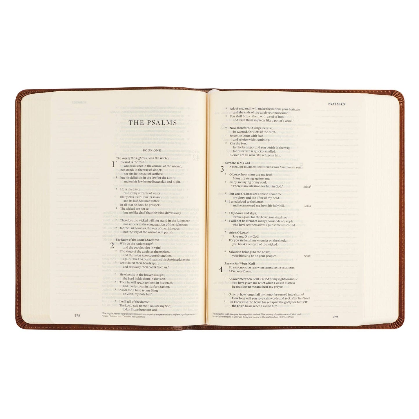 ESV Single Column Sierra Journaling Bible