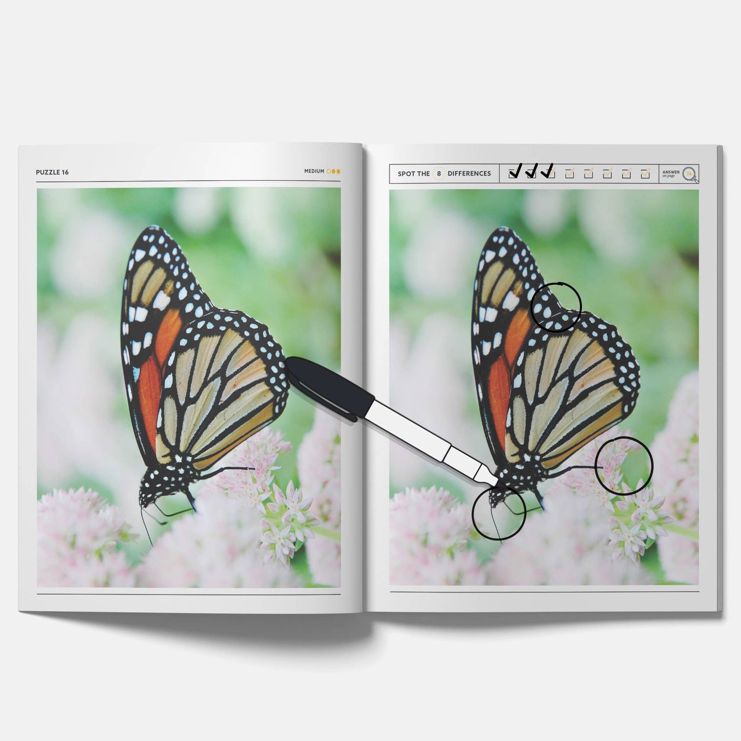 Butterfly Spot the Difference Puzzles, I Spy Activity Book