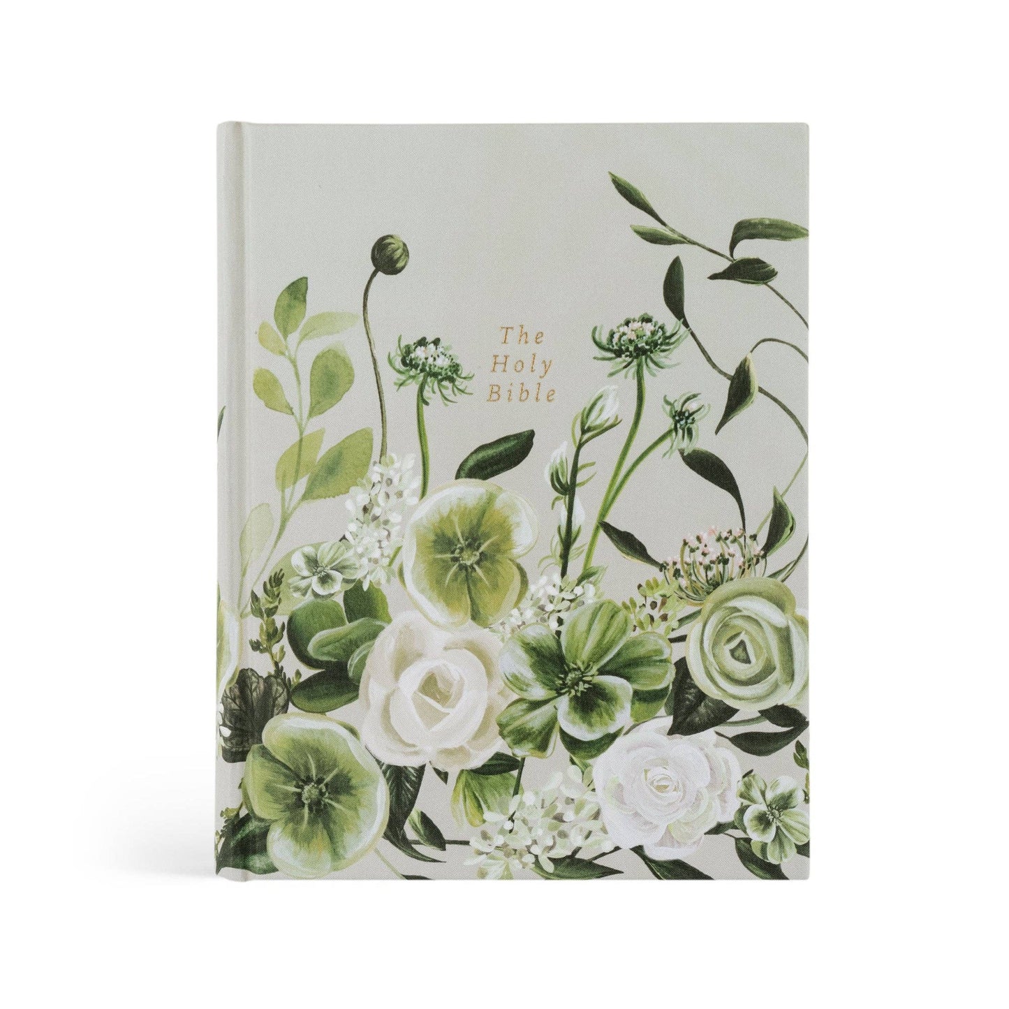 CSB Dorset Notetaking Bible