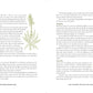 The Homestead Herbal Remedies Guide