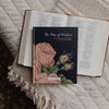 The Way of Wisdom | A 31-Day Devotional Through the Book of Proverbs