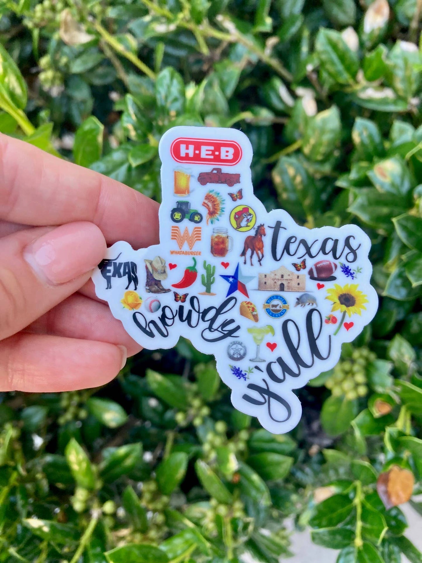Texas Symbols Sticker
