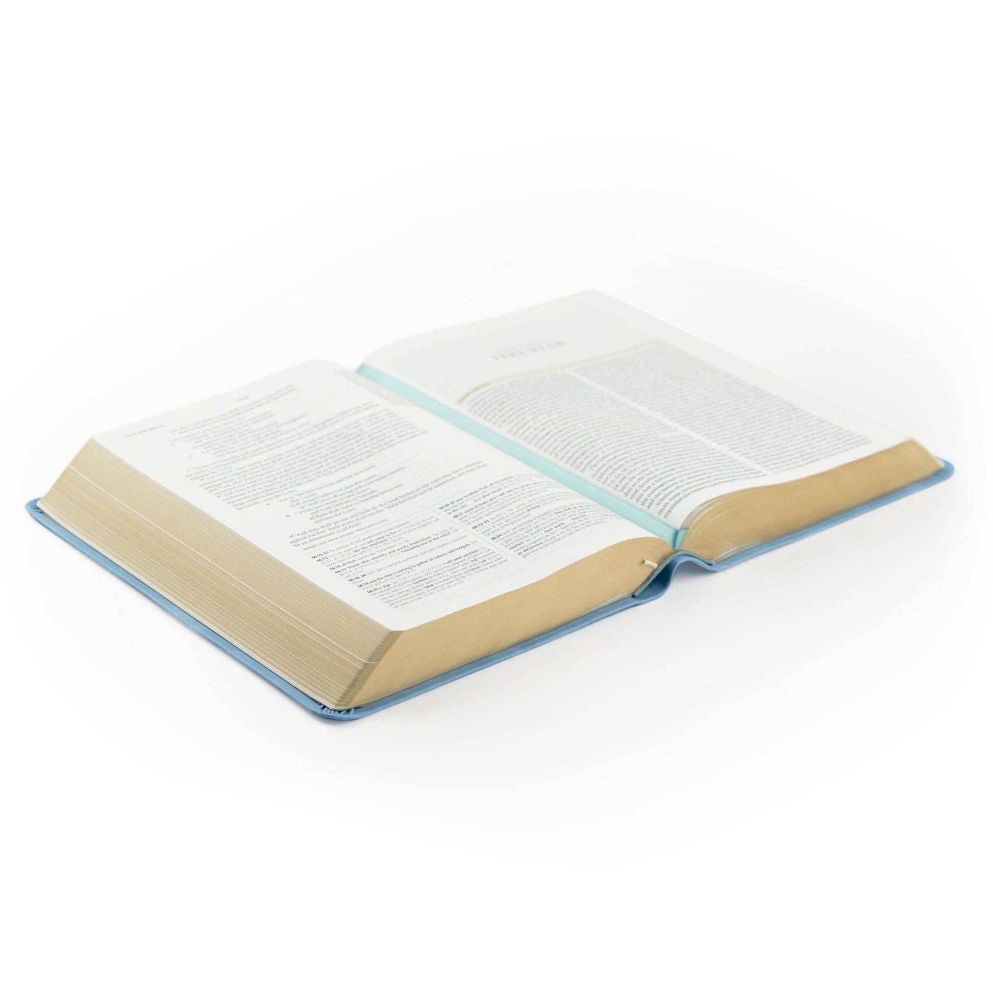 Bethany Theme ESV Study Bible - Purpose + Passion Boutique