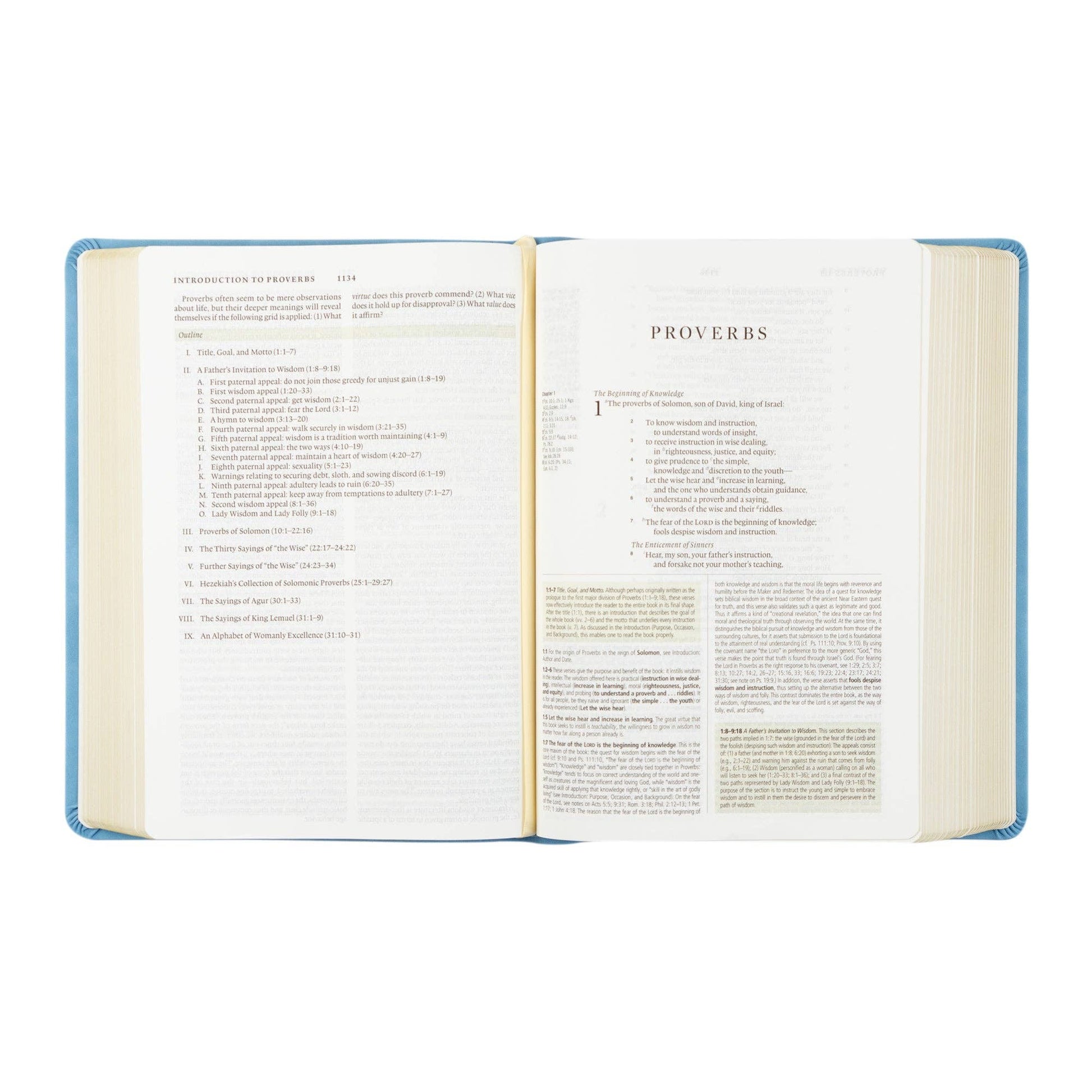 Bethany Theme ESV Study Bible - Purpose + Passion Boutique