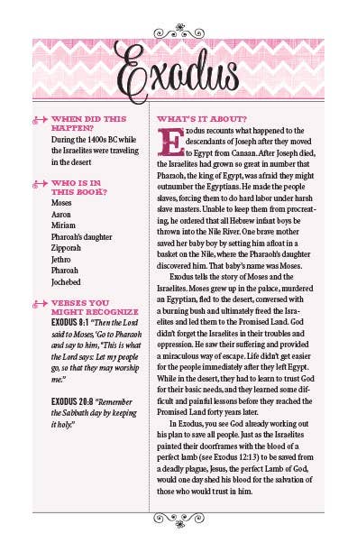 Bible for Teen Girls, Hardcover NIV - Purpose + Passion Boutique