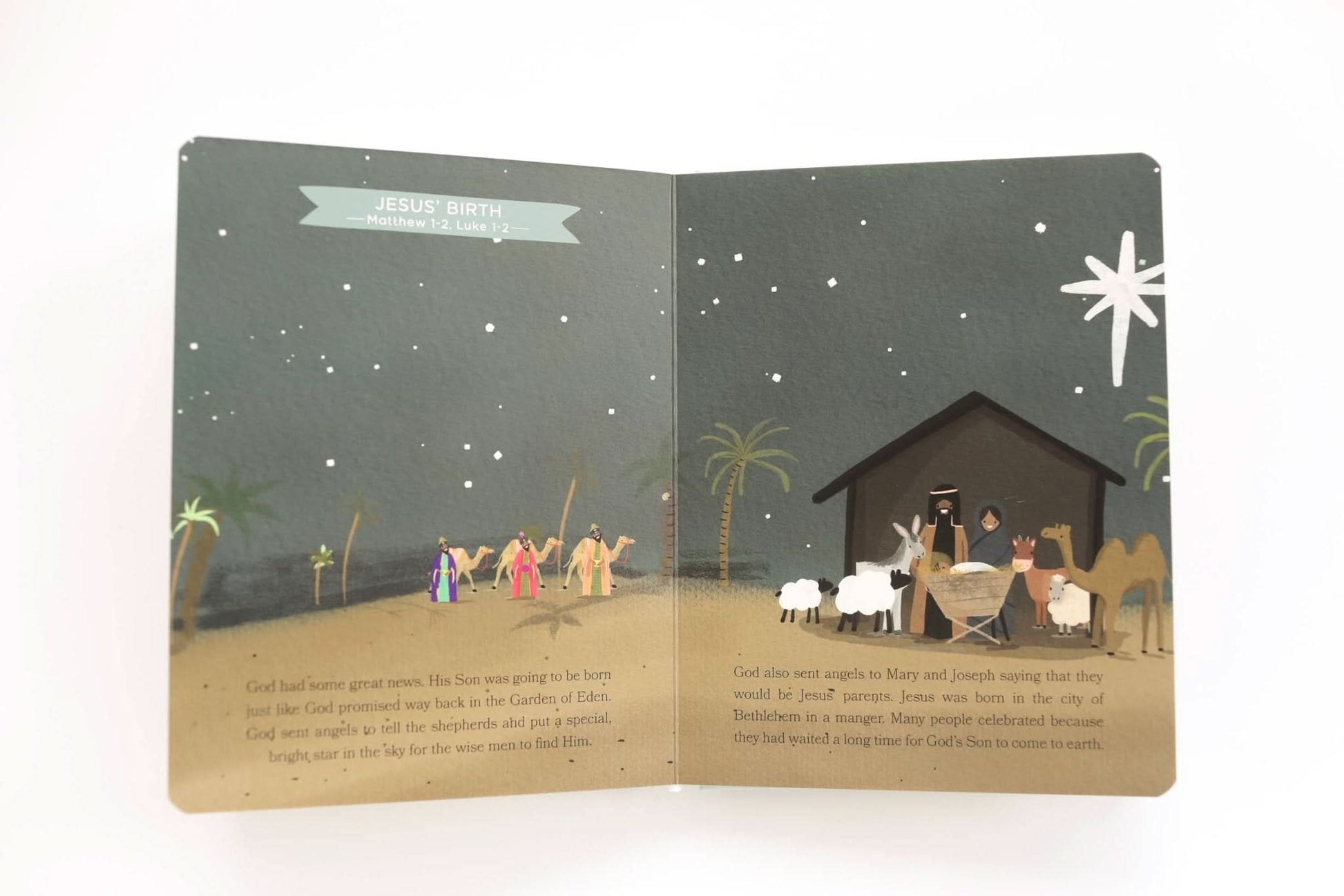 Bible Stories for Little Ones: Baby’s First Bible Board Book - Purpose + Passion Boutique