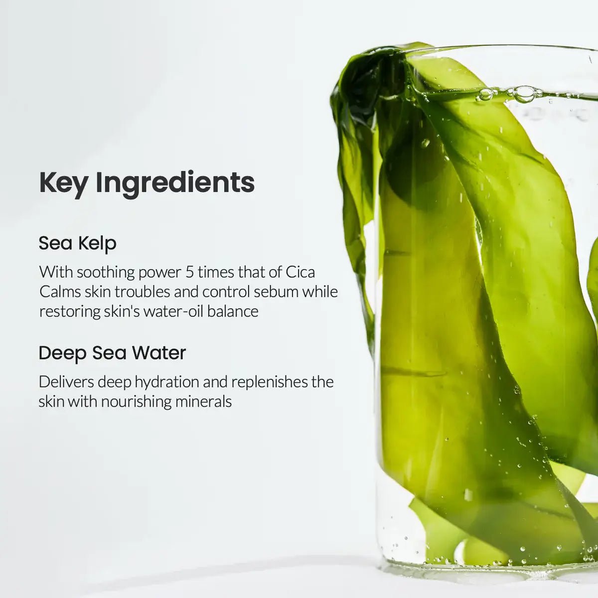 BIODANCE Refreshing Sea Kelp Real Deep Face Sheet Mask - Purpose + Passion Boutique