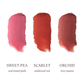 Blush Mini Bar Travel Size Gift Set - Purpose + Passion Boutique