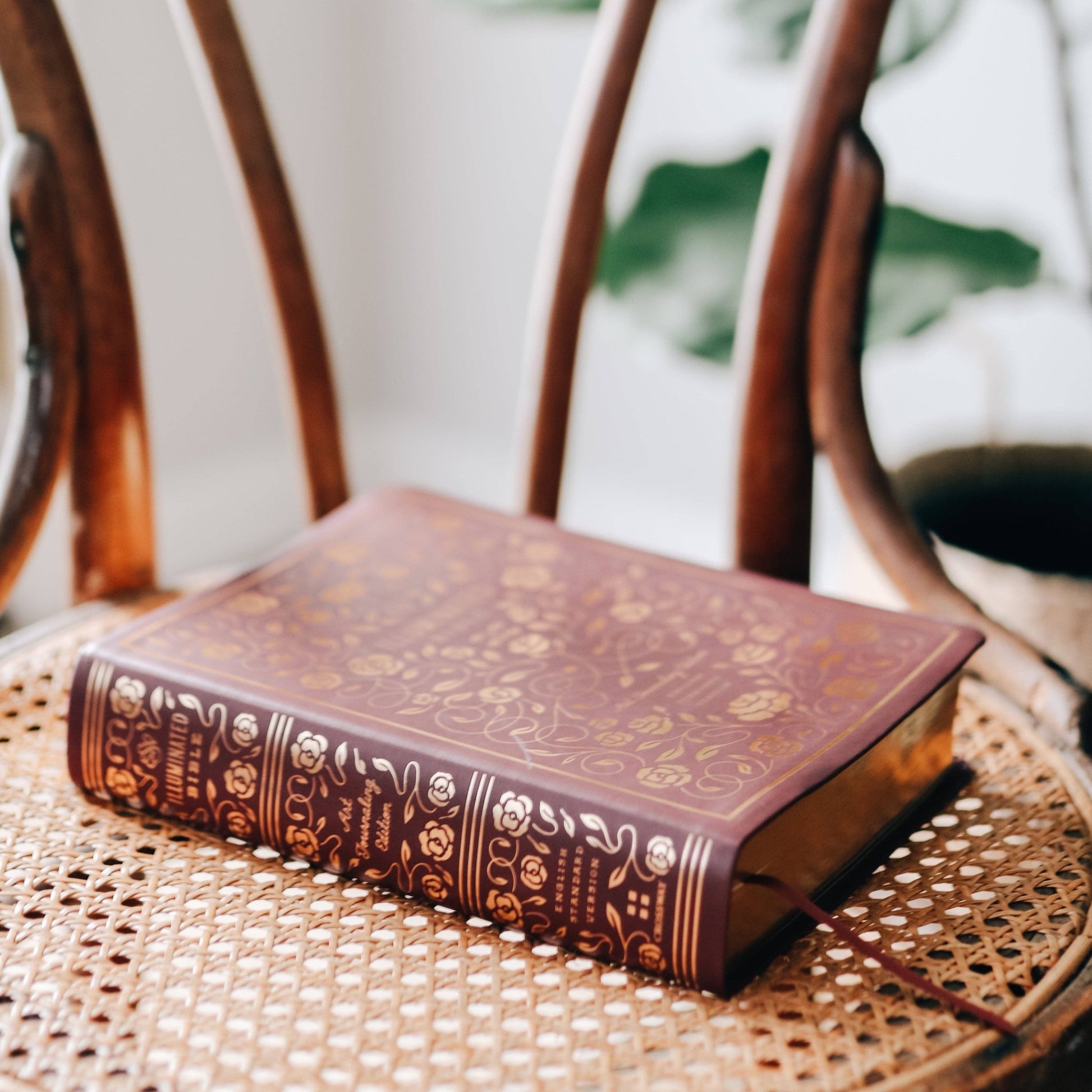 Burgundy ESV Illuminated Journaling Bible - Purpose + Passion Boutique