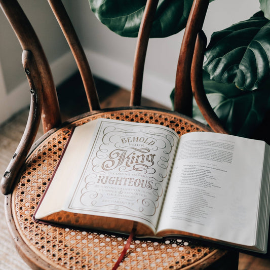 Burgundy ESV Illuminated Journaling Bible - Purpose + Passion Boutique