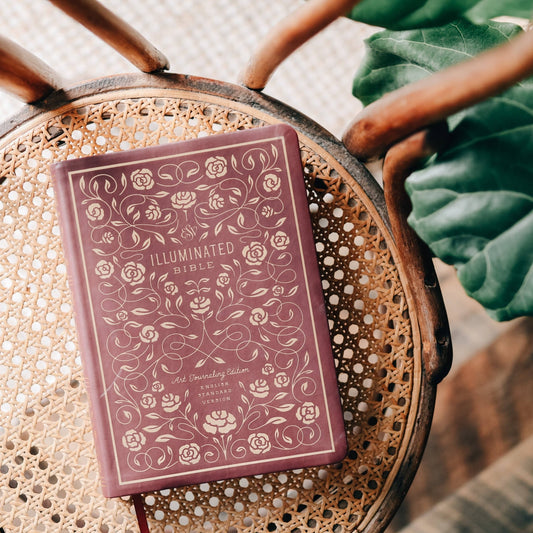 Burgundy ESV Illuminated Journaling Bible - Purpose + Passion Boutique