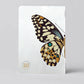 Butterfly 5x7 Journal - Purpose + Passion Boutique