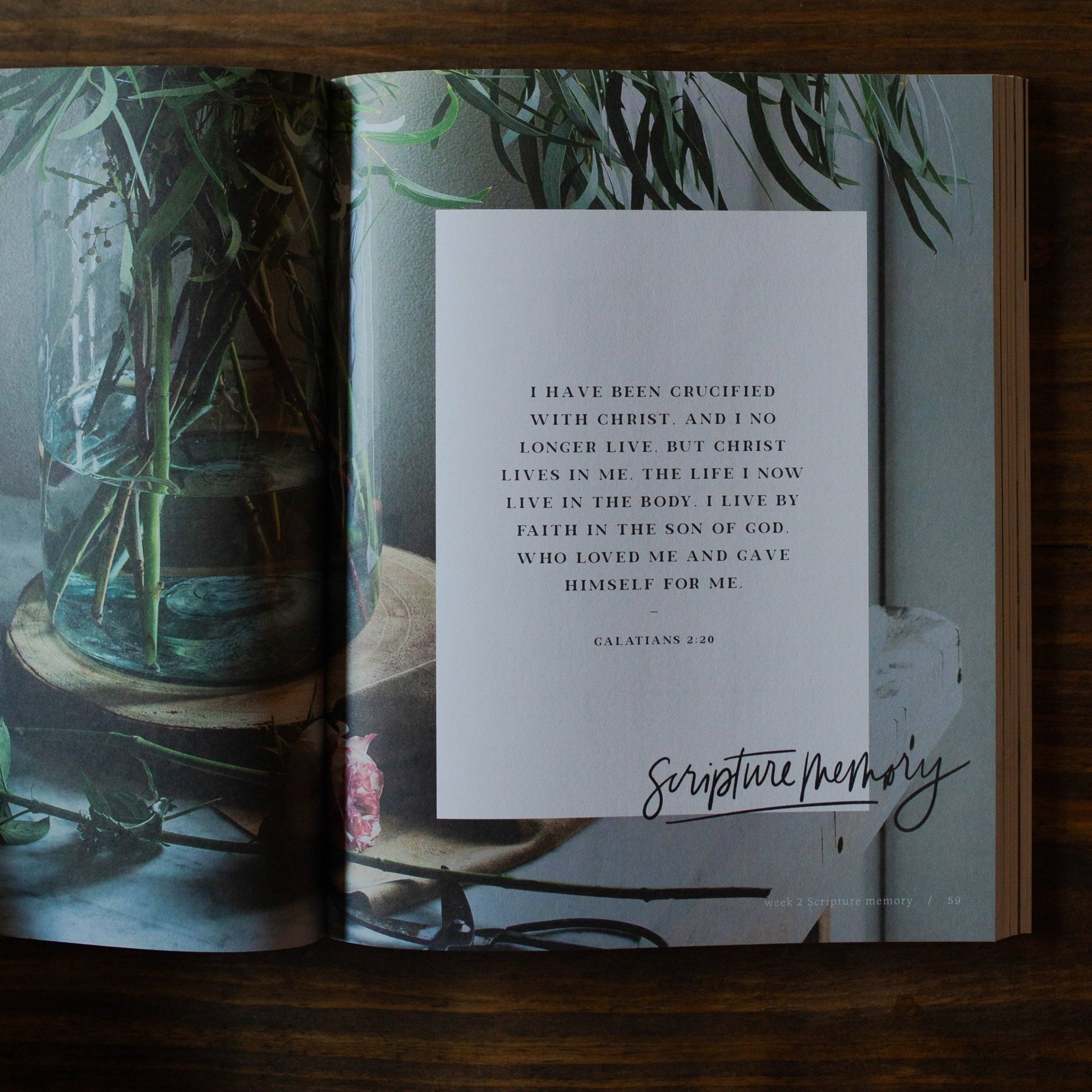 By Faith | Galatians Study - Purpose + Passion Boutique