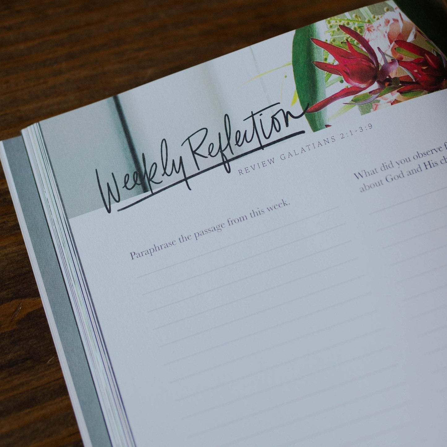 By Faith | Galatians Study - Purpose + Passion Boutique