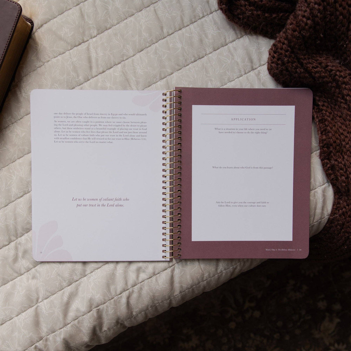 Daughters of Grace Spiral Bible Study