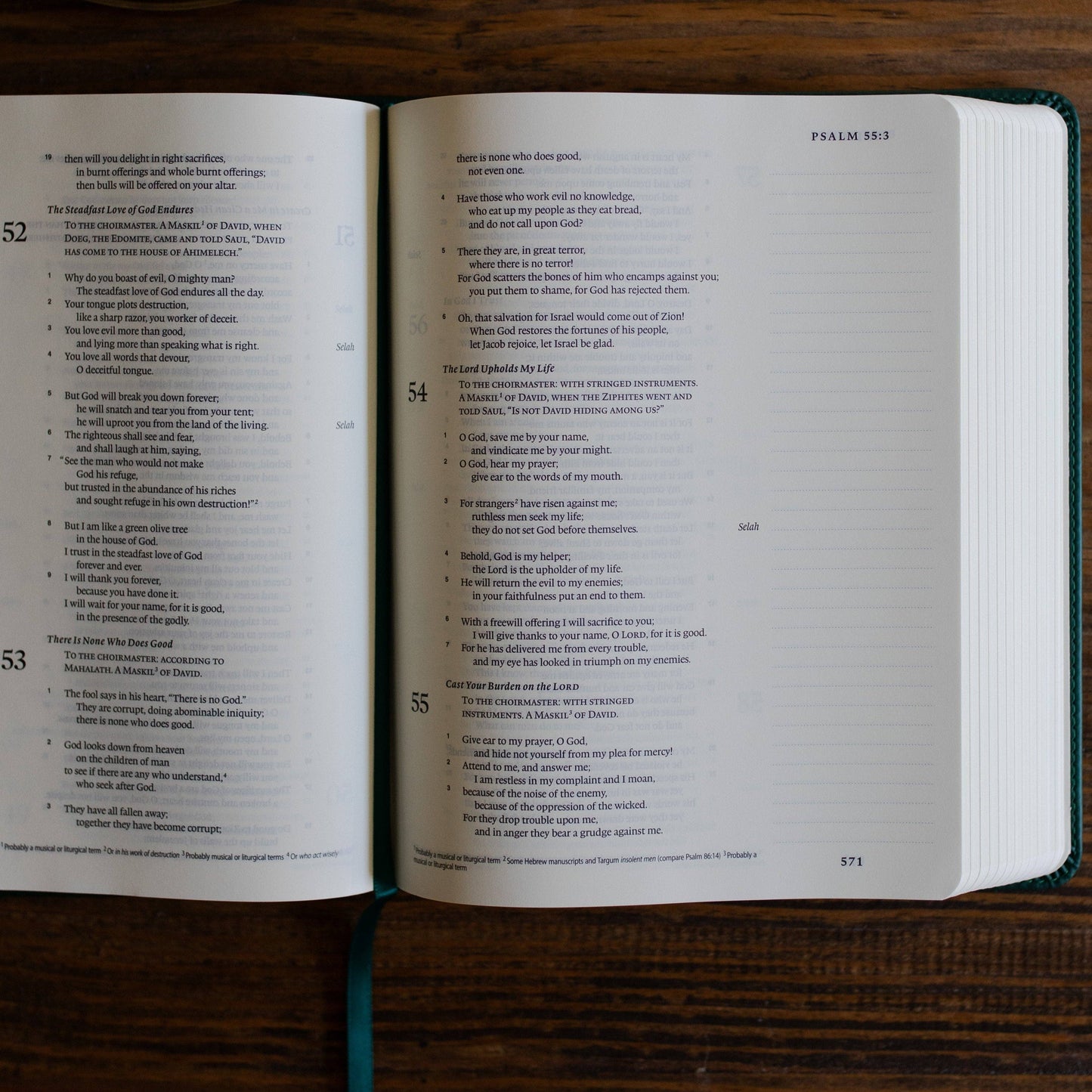 Wild Rose ESV Single Column Journaling Bible®