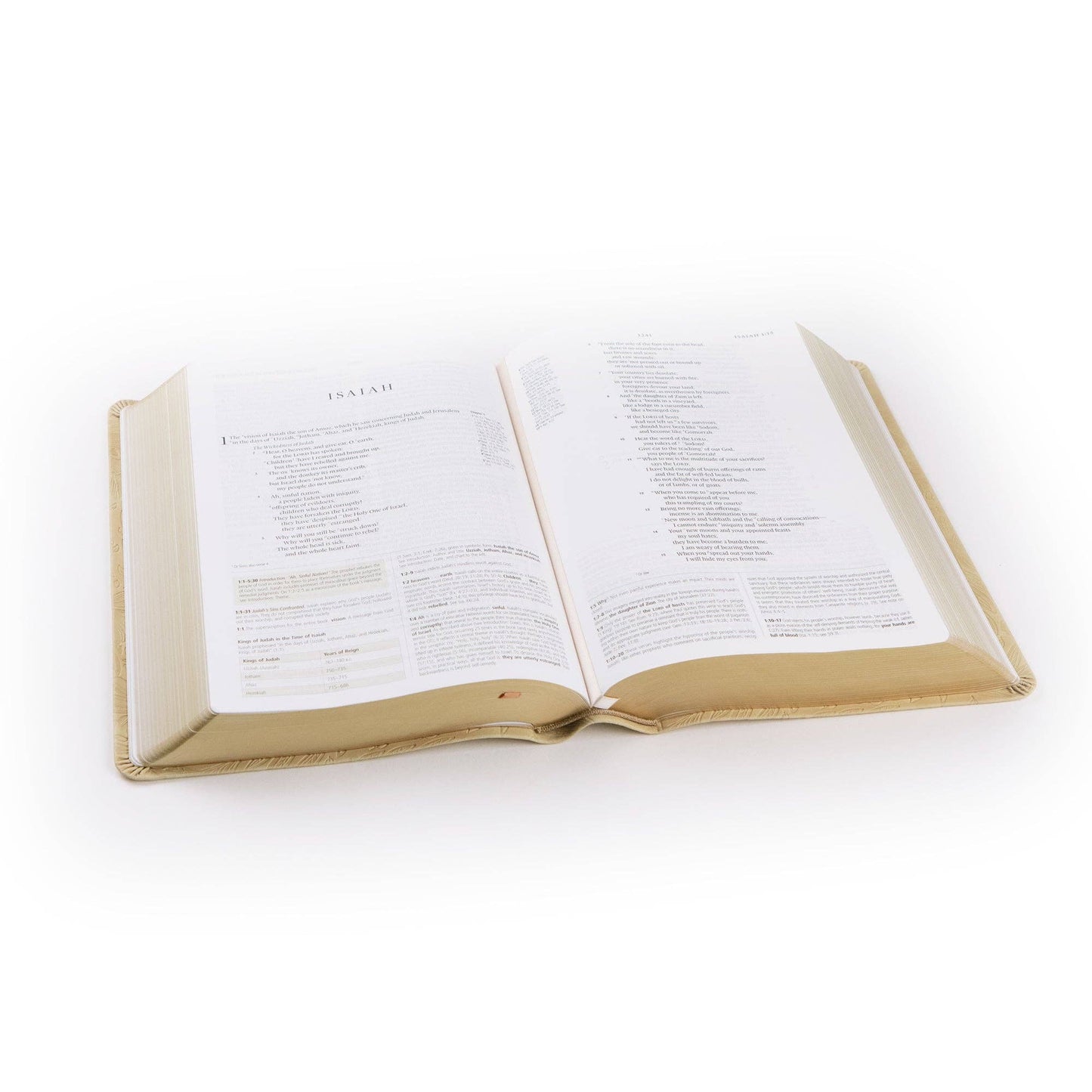 ESV Sonora Theme Study Bible