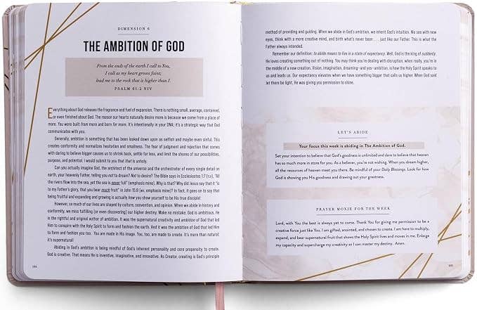 Daily Blessings: A Mindfulness Journal on the Goodness of God