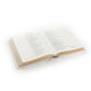 NLT Lisbon Notetaking Bible