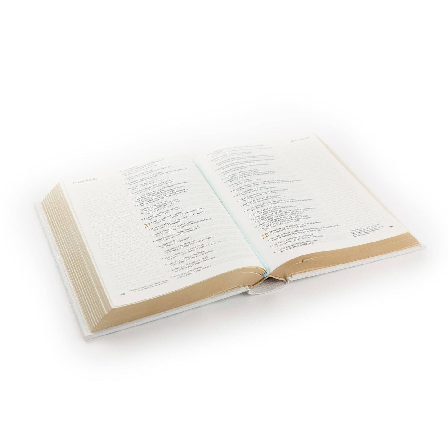 NLT Lisbon Notetaking Bible
