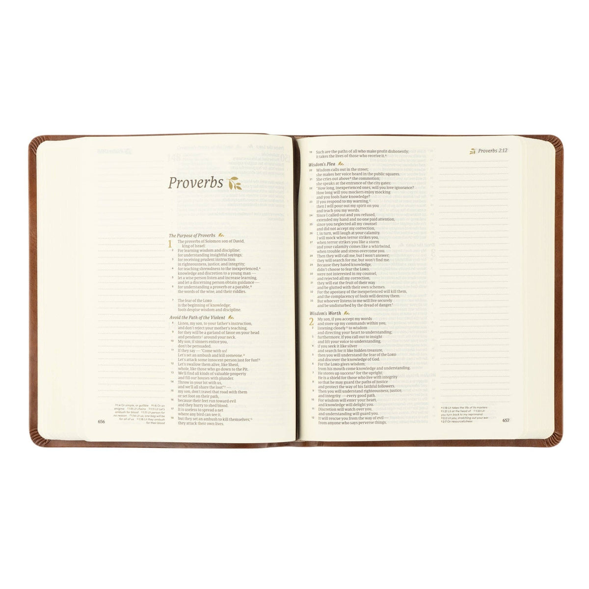 CSB Notetaking Bible: Edinburgh Theme