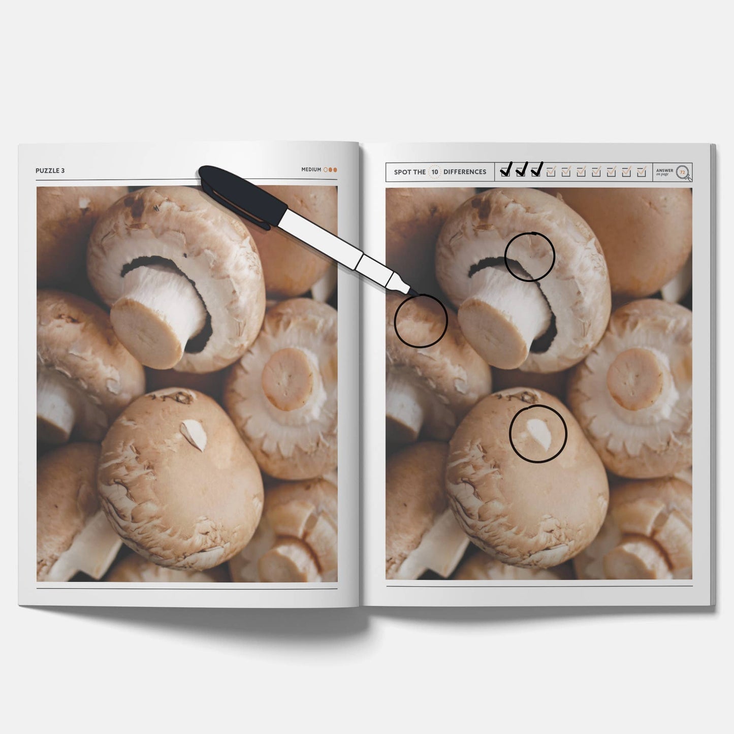 Mushroom Spot the Difference Puzzles, I Spy Activity Book